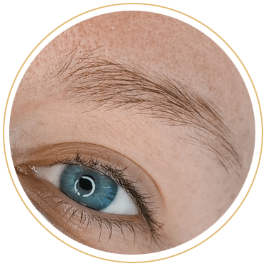 Helle Augenbrauen, flach und geradewegs wachsende Wimpern