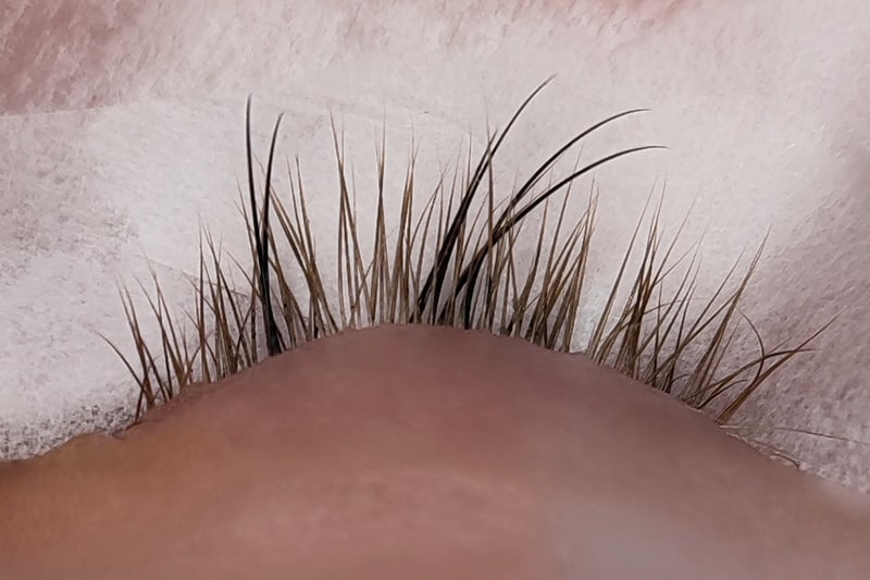 Neuset / Neuanlage für Wimpernverlängerung erforderlich